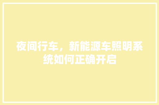 夜间行车，新能源车照明系统如何正确开启