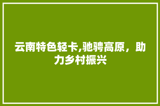 云南特色轻卡,驰骋高原，助力乡村振兴