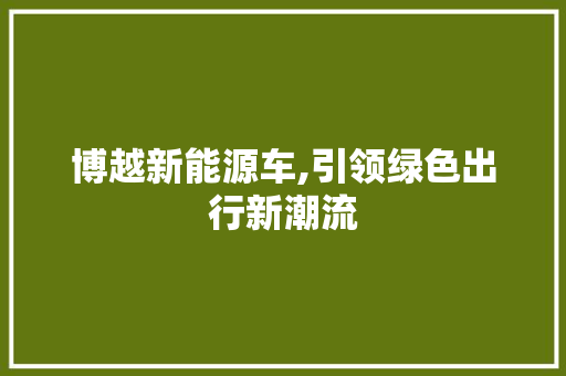 博越新能源车,引领绿色出行新潮流