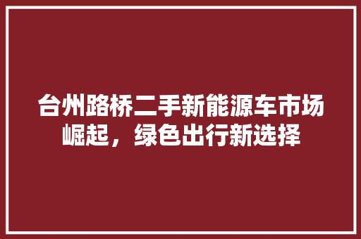 台州路桥二手新能源车市场崛起，绿色出行新选择