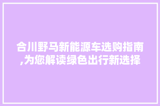 合川野马新能源车选购指南,为您解读绿色出行新选择