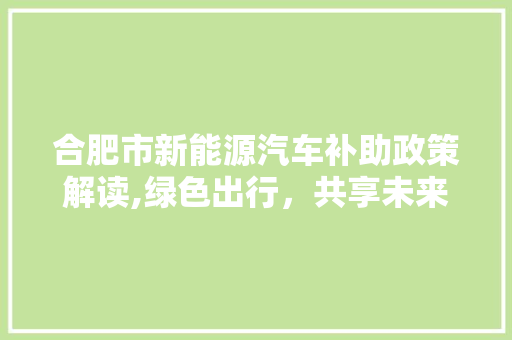 合肥市新能源汽车补助政策解读,绿色出行，共享未来