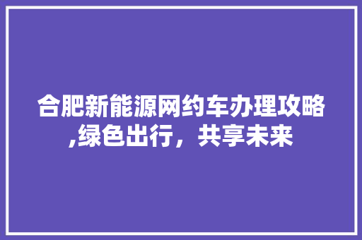 合肥新能源网约车办理攻略,绿色出行，共享未来