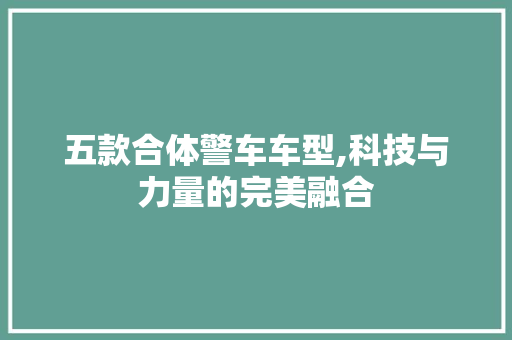 五款合体警车车型,科技与力量的完美融合