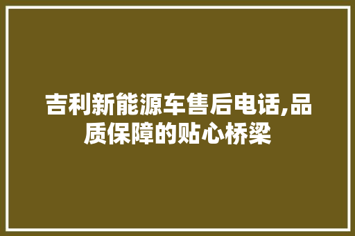 吉利新能源车售后电话,品质保障的贴心桥梁
