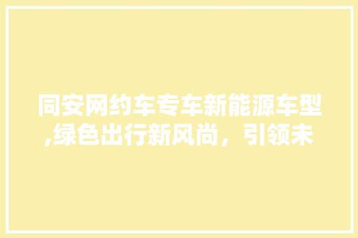 同安网约车专车新能源车型,绿色出行新风尚，引领未来交通潮流
