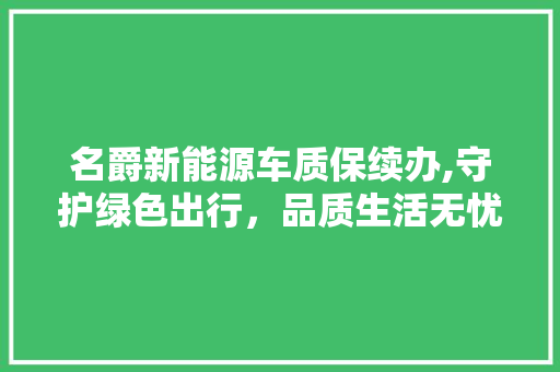 名爵新能源车质保续办,守护绿色出行，品质生活无忧