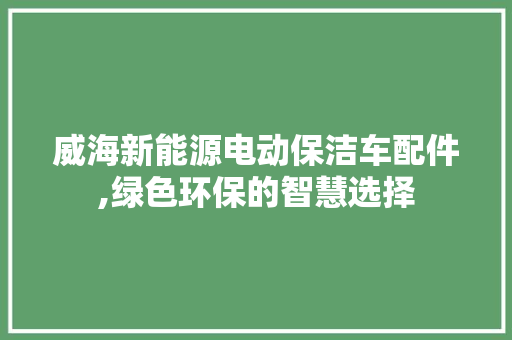 威海新能源电动保洁车配件,绿色环保的智慧选择