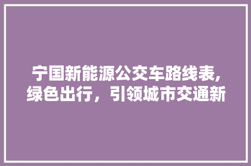 宁国新能源公交车路线表,绿色出行，引领城市交通新风尚