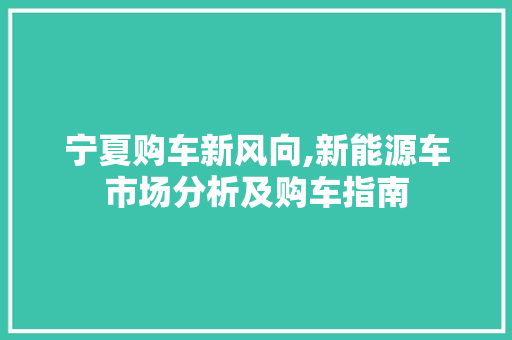 宁夏购车新风向,新能源车市场分析及购车指南