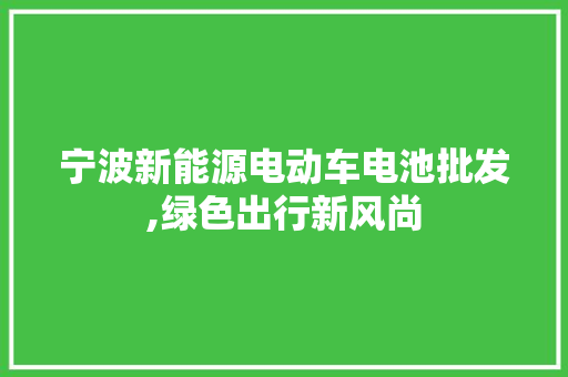 宁波新能源电动车电池批发,绿色出行新风尚