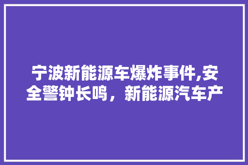 宁波新能源车爆炸事件,安全警钟长鸣，新能源汽车产业发展需深思