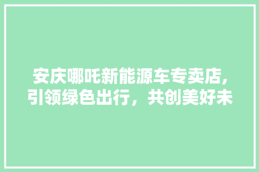 安庆哪吒新能源车专卖店,引领绿色出行，共创美好未来 汽车保养