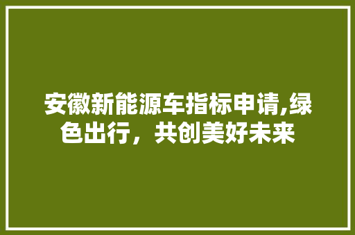 安徽新能源车指标申请,绿色出行，共创美好未来