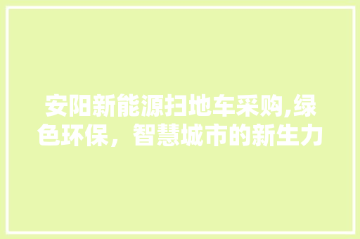 安阳新能源扫地车采购,绿色环保，智慧城市的新生力量