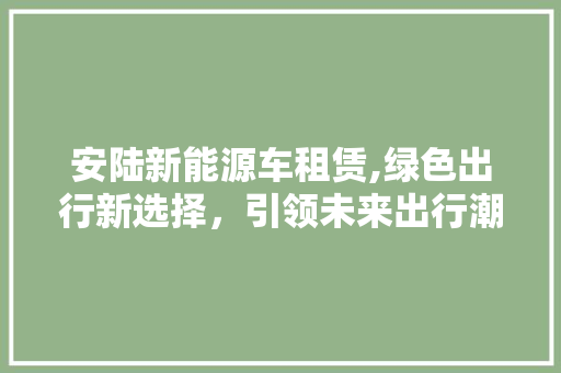 安陆新能源车租赁,绿色出行新选择，引领未来出行潮流
