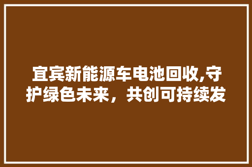 宜宾新能源车电池回收,守护绿色未来，共创可持续发展