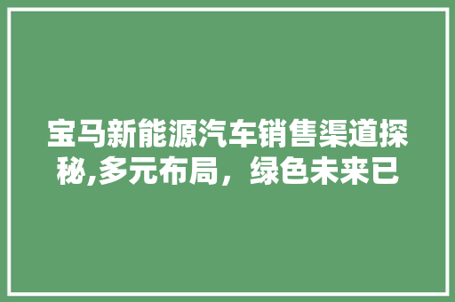 宝马新能源汽车销售渠道探秘,多元布局，绿色未来已来