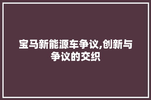 宝马新能源车争议,创新与争议的交织