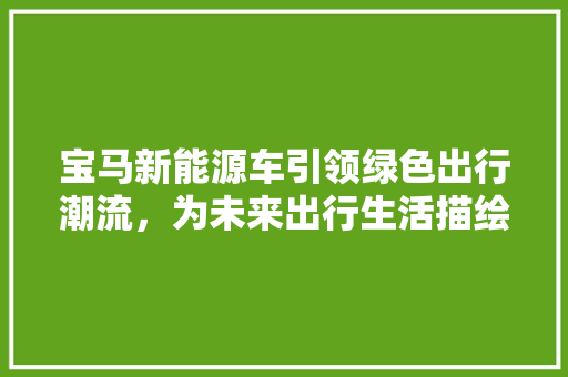 宝马新能源车引领绿色出行潮流，为未来出行生活描绘美好蓝图