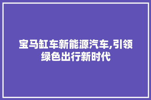宝马缸车新能源汽车,引领绿色出行新时代