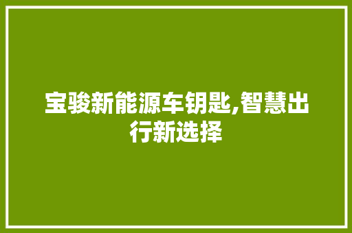 宝骏新能源车钥匙,智慧出行新选择