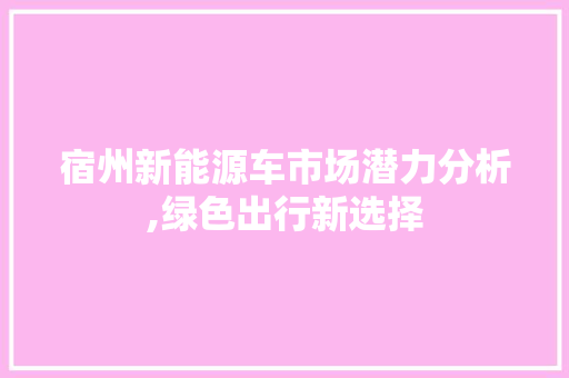 宿州新能源车市场潜力分析,绿色出行新选择