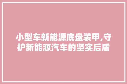 小型车新能源底盘装甲,守护新能源汽车的坚实后盾