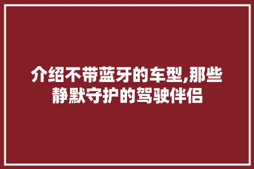 介绍不带蓝牙的车型,那些静默守护的驾驶伴侣