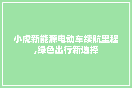 小虎新能源电动车续航里程,绿色出行新选择