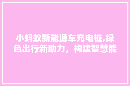 小蚂蚁新能源车充电桩,绿色出行新助力，构建智慧能源生态圈
