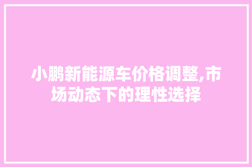 小鹏新能源车价格调整,市场动态下的理性选择