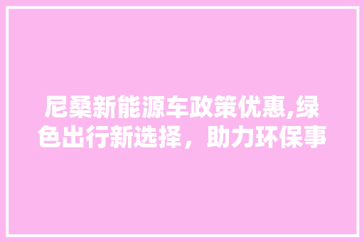 尼桑新能源车政策优惠,绿色出行新选择，助力环保事业
