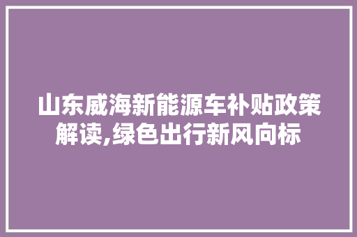 山东威海新能源车补贴政策解读,绿色出行新风向标