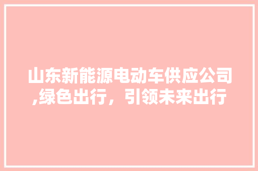 山东新能源电动车供应公司,绿色出行，引领未来出行新风尚