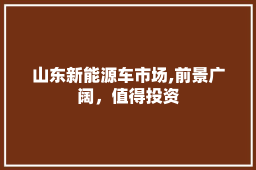 山东新能源车市场,前景广阔，值得投资