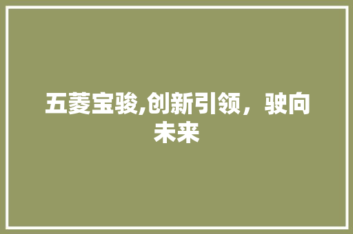 五菱宝骏,创新引领，驶向未来