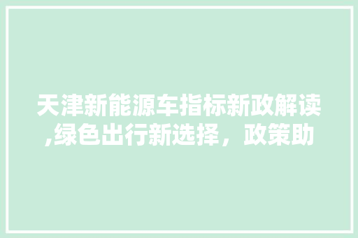 天津新能源车指标新政解读,绿色出行新选择，政策助力行业发展