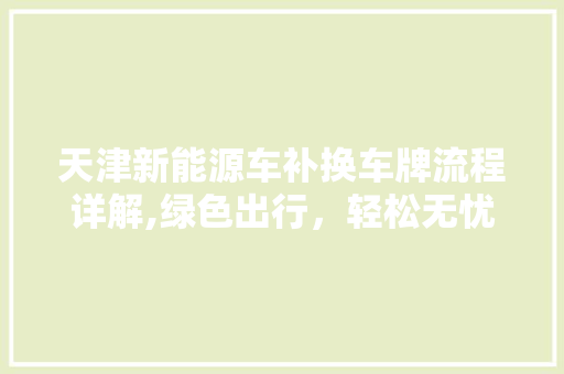 天津新能源车补换车牌流程详解,绿色出行，轻松无忧