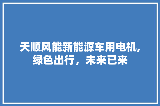 天顺风能新能源车用电机,绿色出行，未来已来