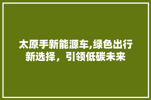 太原手新能源车,绿色出行新选择，引领低碳未来