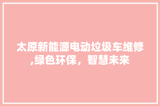 太原新能源电动垃圾车维修,绿色环保，智慧未来