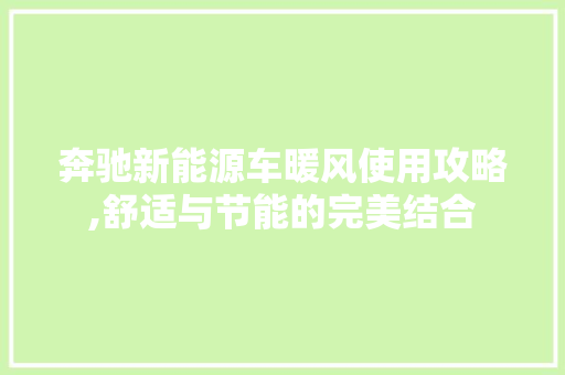 奔驰新能源车暖风使用攻略,舒适与节能的完美结合