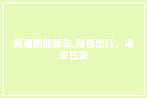 奥迪新能源车,绿色出行，未来已来