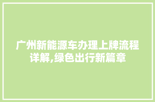 广州新能源车办理上牌流程详解,绿色出行新篇章