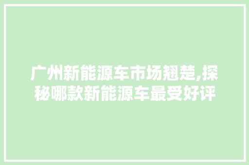 广州新能源车市场翘楚,探秘哪款新能源车最受好评 汽车保养