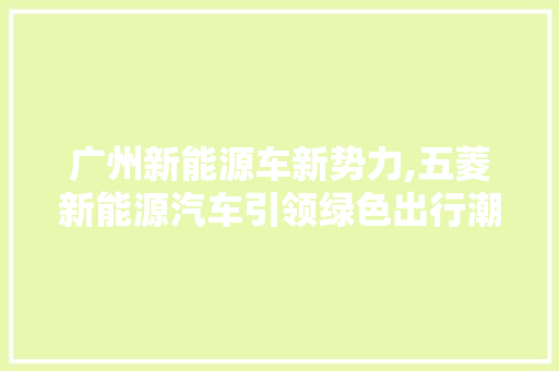 广州新能源车新势力,五菱新能源汽车引领绿色出行潮流