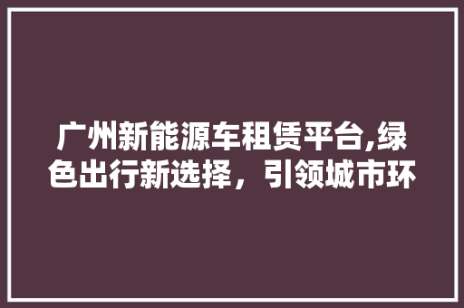 广州新能源车租赁平台,绿色出行新选择，引领城市环保潮流 车载导航