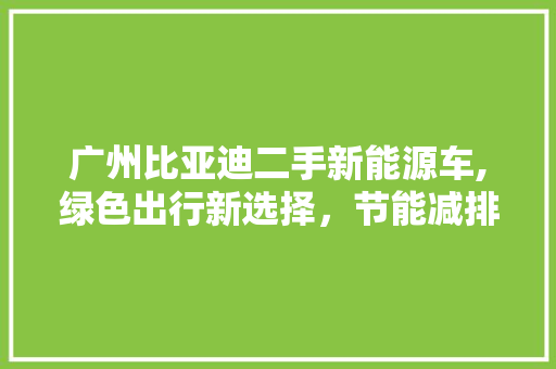 广州比亚迪二手新能源车,绿色出行新选择，节能减排的践行者