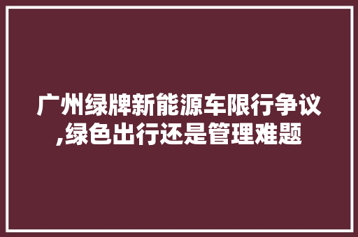 广州绿牌新能源车限行争议,绿色出行还是管理难题